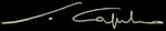 firma_caputo.jpg (15711 byte)